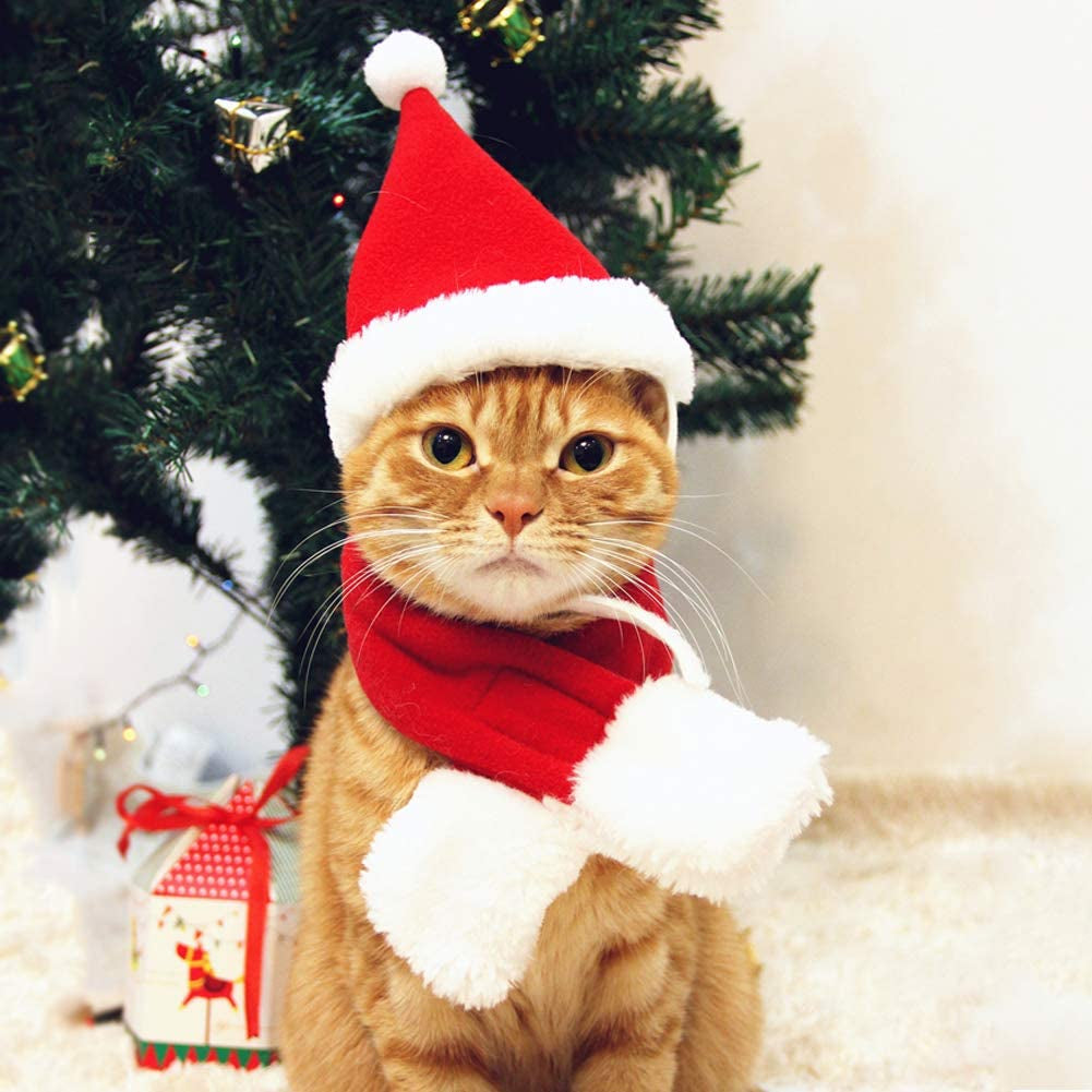 Cat Santa Hat with Scarf, Christmas Hats for Cats Small Dog Santa Hat Christmas Costume for Cat Rabbit Puppy Doll Decoration, Red S